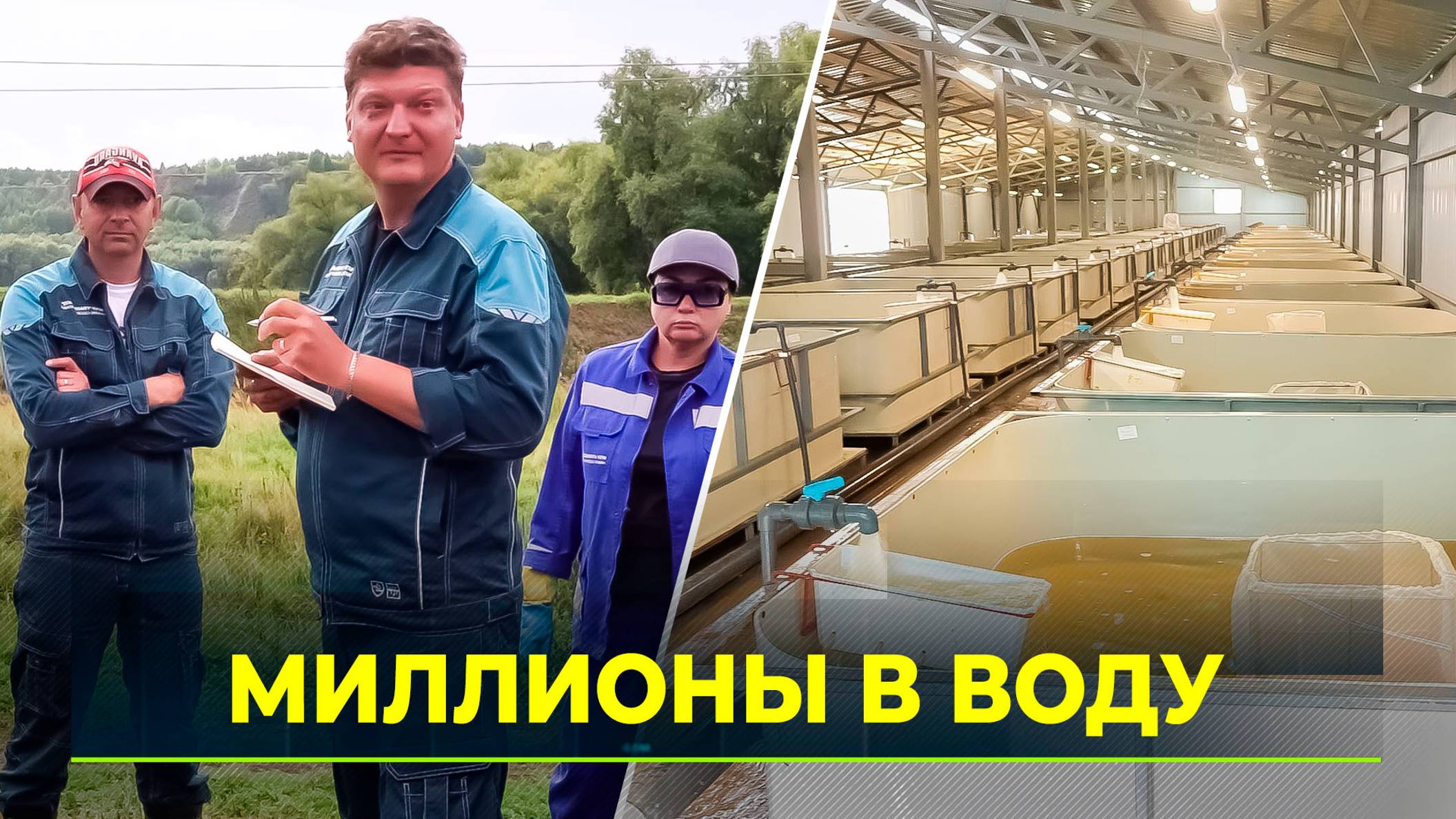 Как восстанавливают популяцию сибирского осетра в Обь-Иртышском бассейне