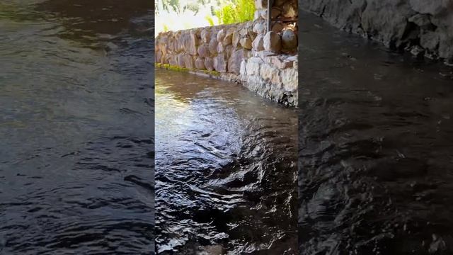 #лайфстайл #красивоевидео