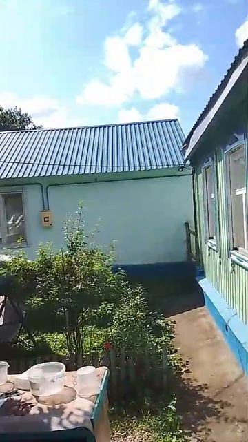 С Яблочным спасом! 19-08-2025