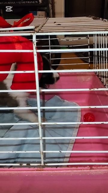 Дети они везде одинаковые