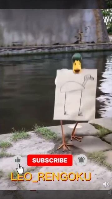 как я вижу животных🤣🤣🤣