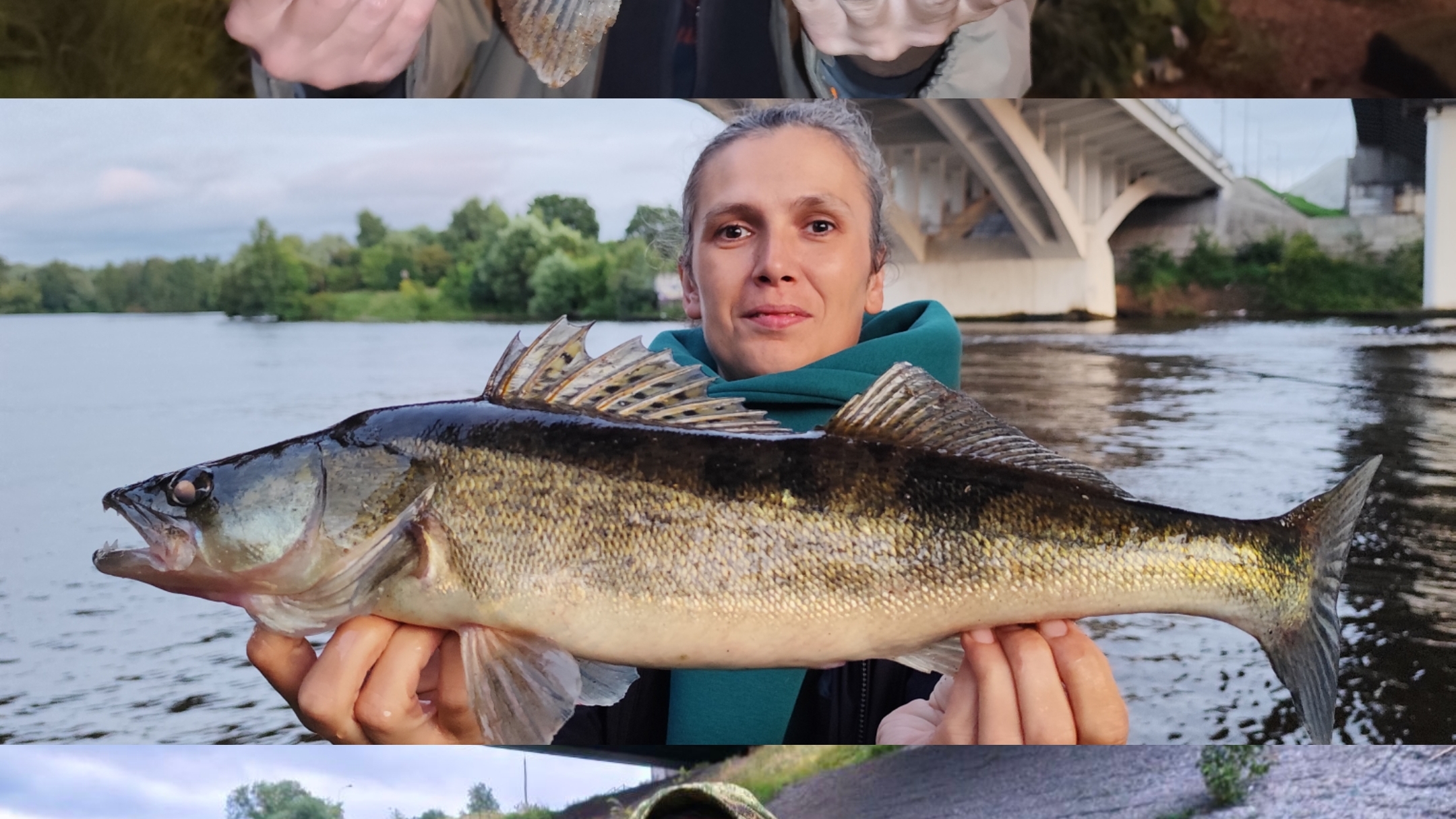 ОЙ ЛЯЛЯ! СУДАК РАЗДАЛ!  #рыбалка #fish #fishing #природа #отдых #рыба #shorts #красота #хобби #судак