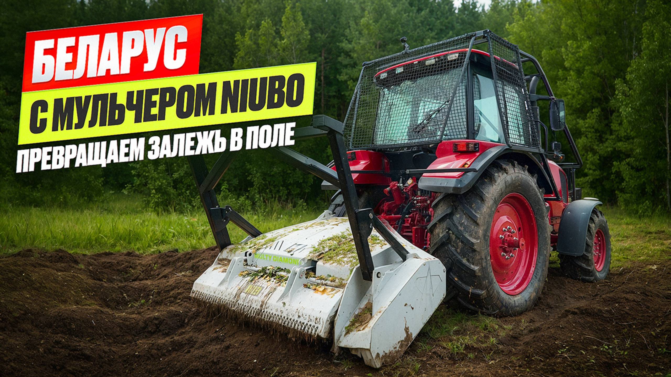 Превращаем залежь в поле: БЕЛАРУС с мульчером NIUBO