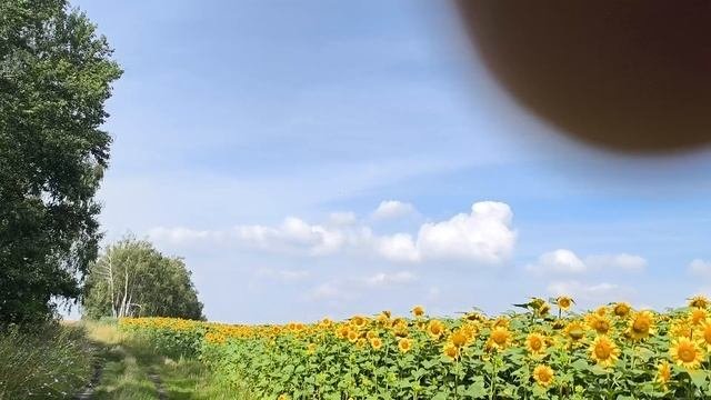 Шестая пробежка после операции