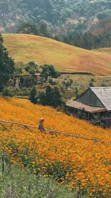 VID_20250819_144537_751.mp4