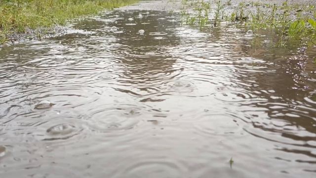 опять дождь