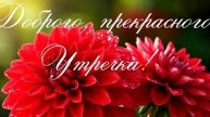 Доброе утро🎀💖 Пусть настроение будет отличным 🌝💖