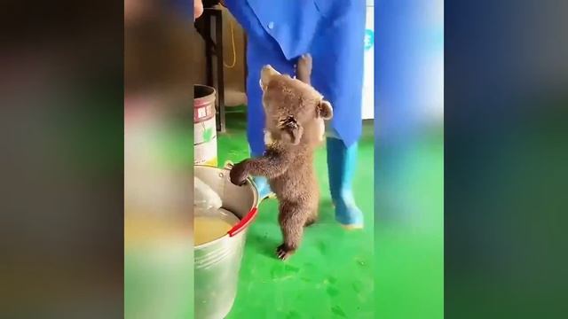 VID_20250819_111850_816.mp4