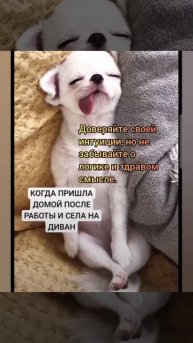 Лунный календарь 19.08.25 #лунныйкалендарь #астрология #астропрогнознакаждыйдень #лунныедни