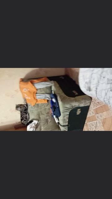 19-08-2025