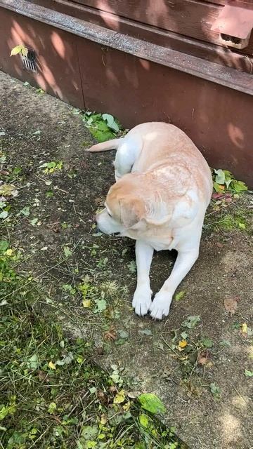 Ульзана anzl ru на работе