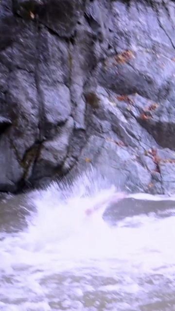 Ленкоранский район Азербайджана. Август 2025г.

#Азербайджан #Ленкорань  #Azerbaycan #Lənkəran  #Aze