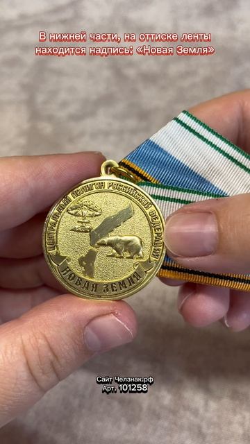 Медаль «Центральный ядерный полигон Новая Земля»