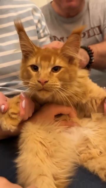 VID_20250819_144843_044.mp4