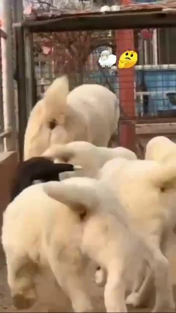 Веселая семья.🤪