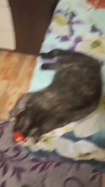 Кажется что-то не догладила