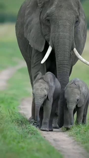 VID_20250819_110307_455.mp4