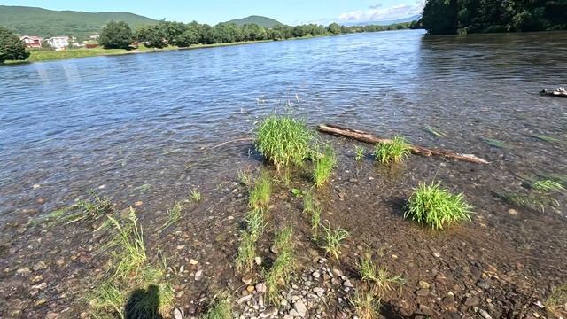 остров 🏝️ чаек