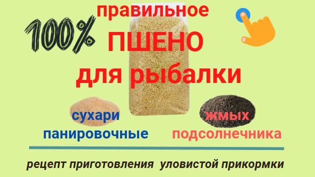 Правильное пшено для рыбалки. Рецепт приготовления уловистой прикормки