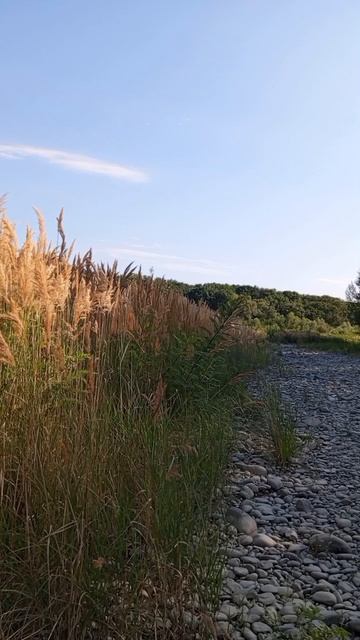 19.08.2025 #сегоднятак #природа #прырода #табиғ #自然 #natureza #natura #자연 #طبيعة #प्रकृति #nature