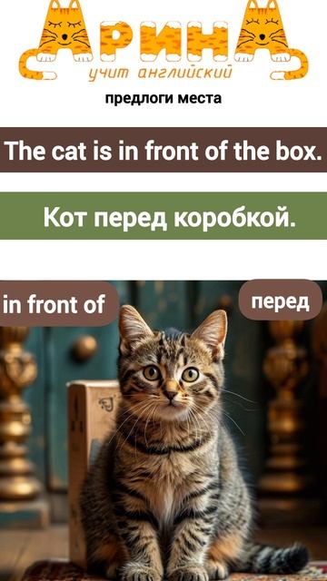 Спотлайт 3 класс Урок 11b предлоги места on, in, under, next to, in front of, behind