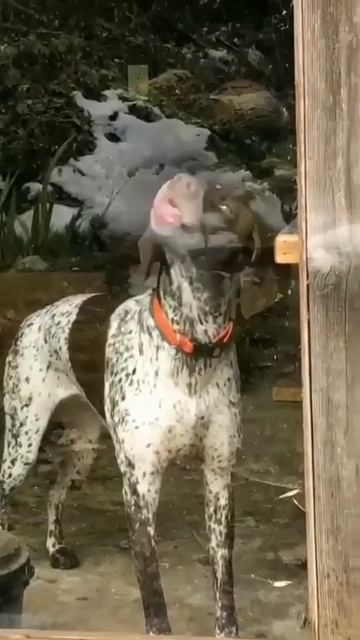 VID_20250819_143814_061.mp4