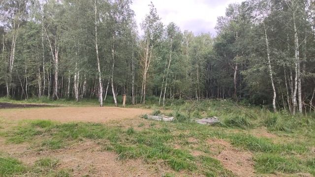 Подкормка лесных животных в Липецке 15 августа 2025