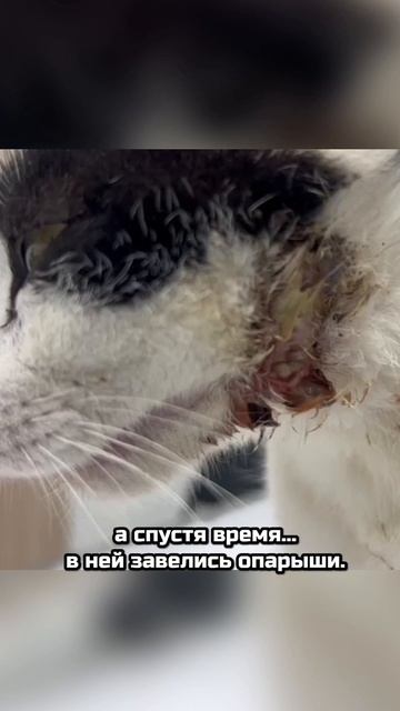 Её ели заживо... | Барби