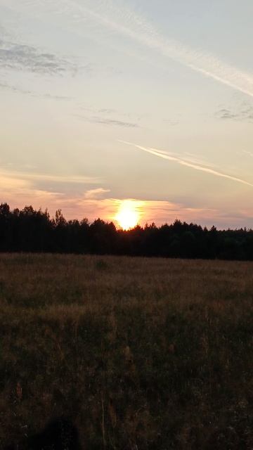 Трепет осины 💯👍