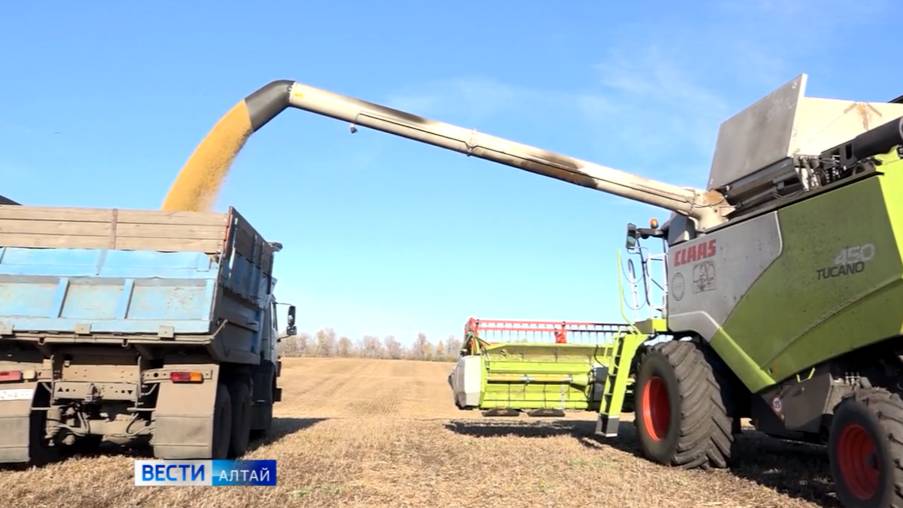 Алтайские специалисты ФГБУ «ЦОК АПК» занимаются восстановлением сельхозугодий