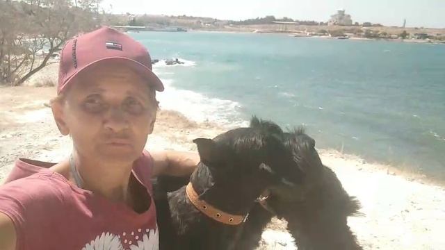 Морские котики, Пуля и Басса на Херсонесе. 20.08.25. Севастополь