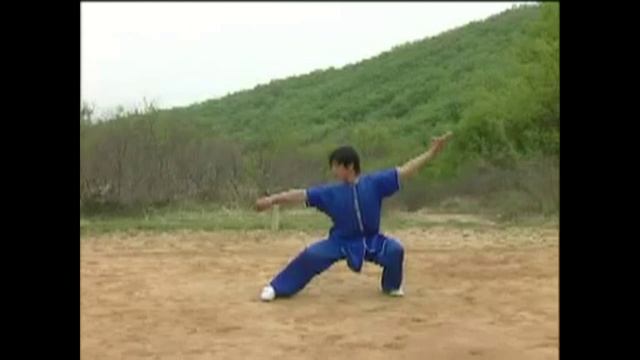 Шаолинь Тамо цзянь