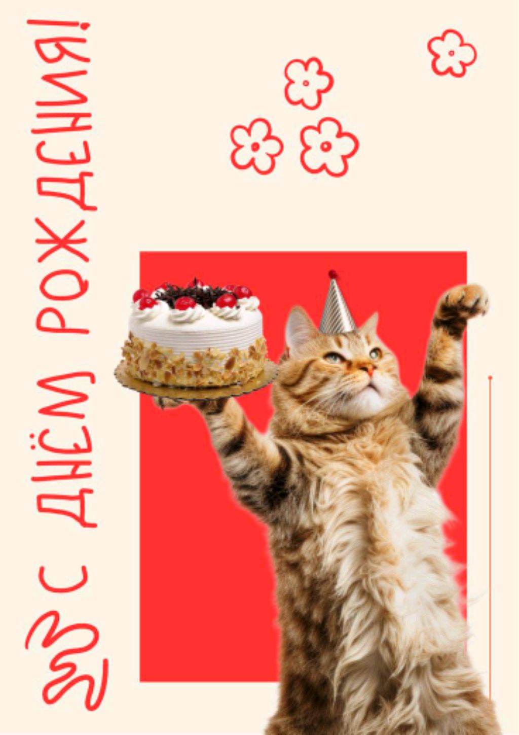 играем в гроф а Гарден открываем 45 паков и отвечаем на вопросы рассказываю про др