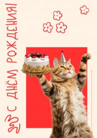 играем в гроф а Гарден открываем 45 паков и отвечаем на вопросы рассказываю про др