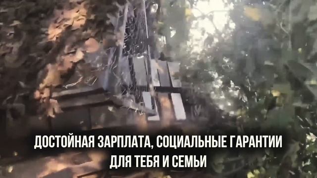 Служба по контракту от Кировской области - это: