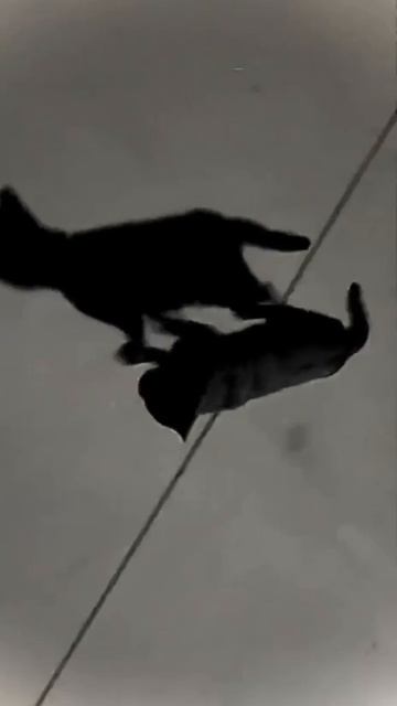 Так сразу и не поймёшь 🤔☺️😉