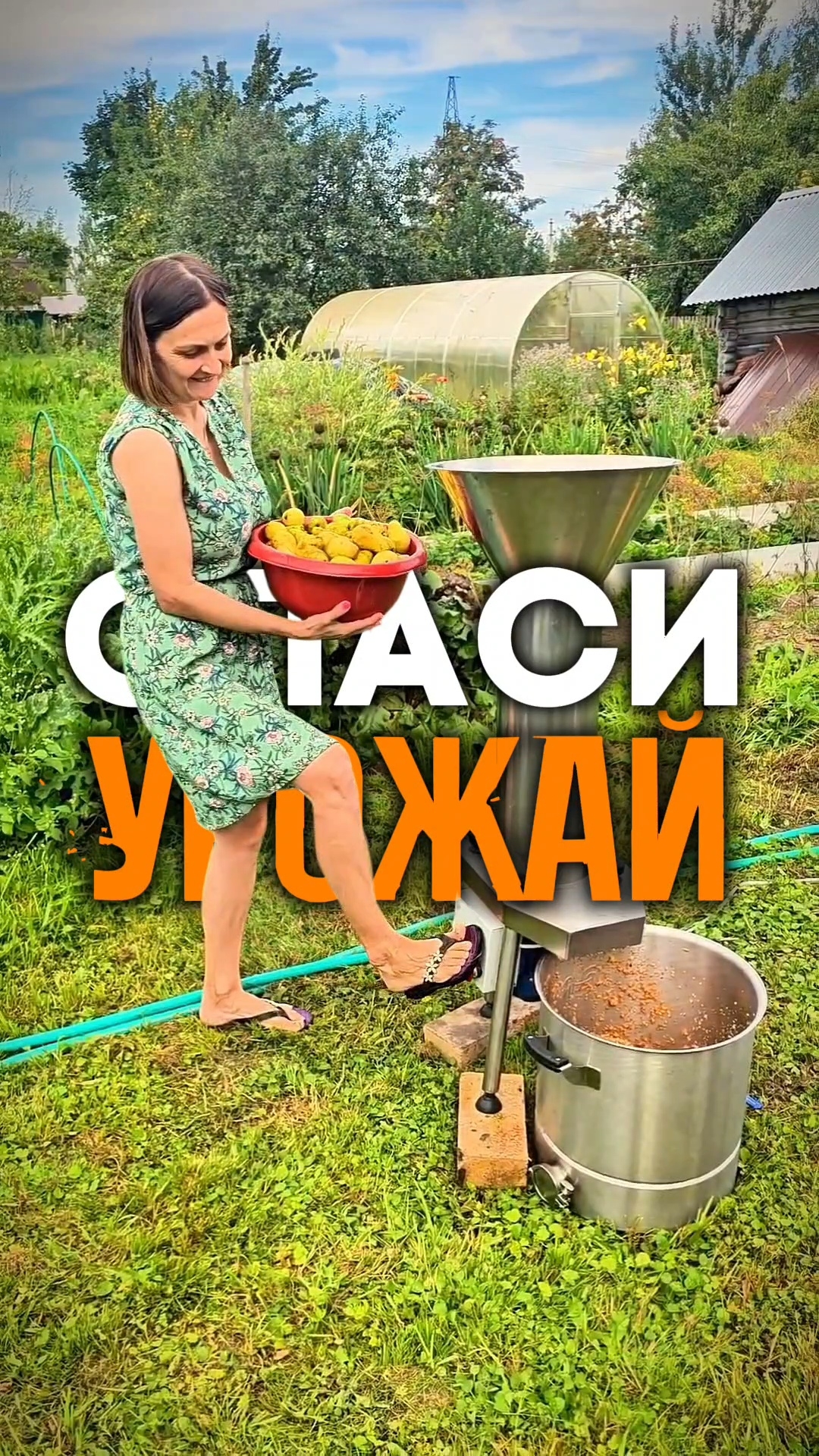 Тонну яблок и груш за вечер . Мини-завод на даче #сок #уборкаурожая #соковыжималка #ректифай