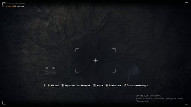 Тайник Контроль за животными