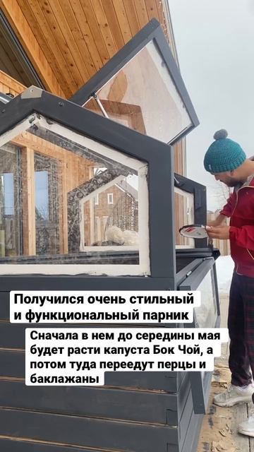 Парник, как произведение искусства #vegan