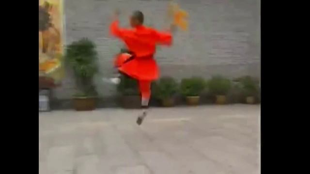 Шаолинь даньдао