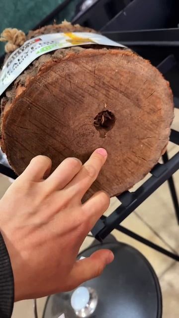 Готовый костёр из бревна