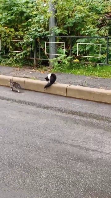 о жизни , чувствах , осознанности