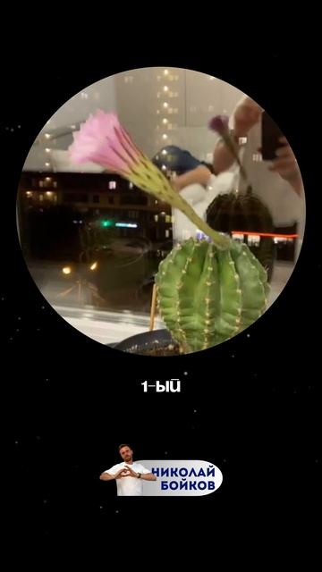 Закадровая жизнь Николая Бойкова