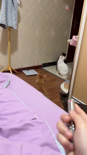 вот зачем лазерная указка
