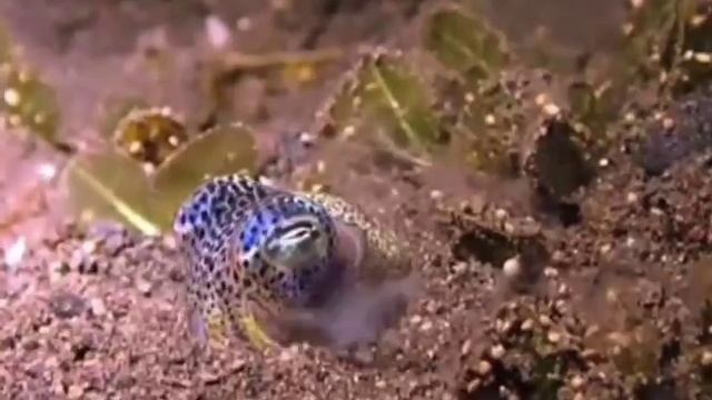 VID_20250819_111911_513.mp4