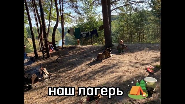 яркий день лета