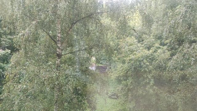 магический дождливый прогноз от волшебника не забывайте зонты... 19 августа...