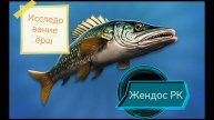 Реальная рыбалка 2. Исследование ёрш на карасевом