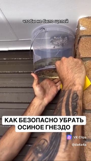 VID_20250819_130925_627.mp4