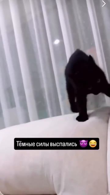 Черный котик 🐈⬛❤️😍😘🥰
